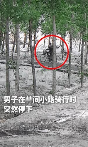 应该对杨絮问题重视起来了，这种隐患很严重了。这些易出火灾隐患的树木，还有对孩子老