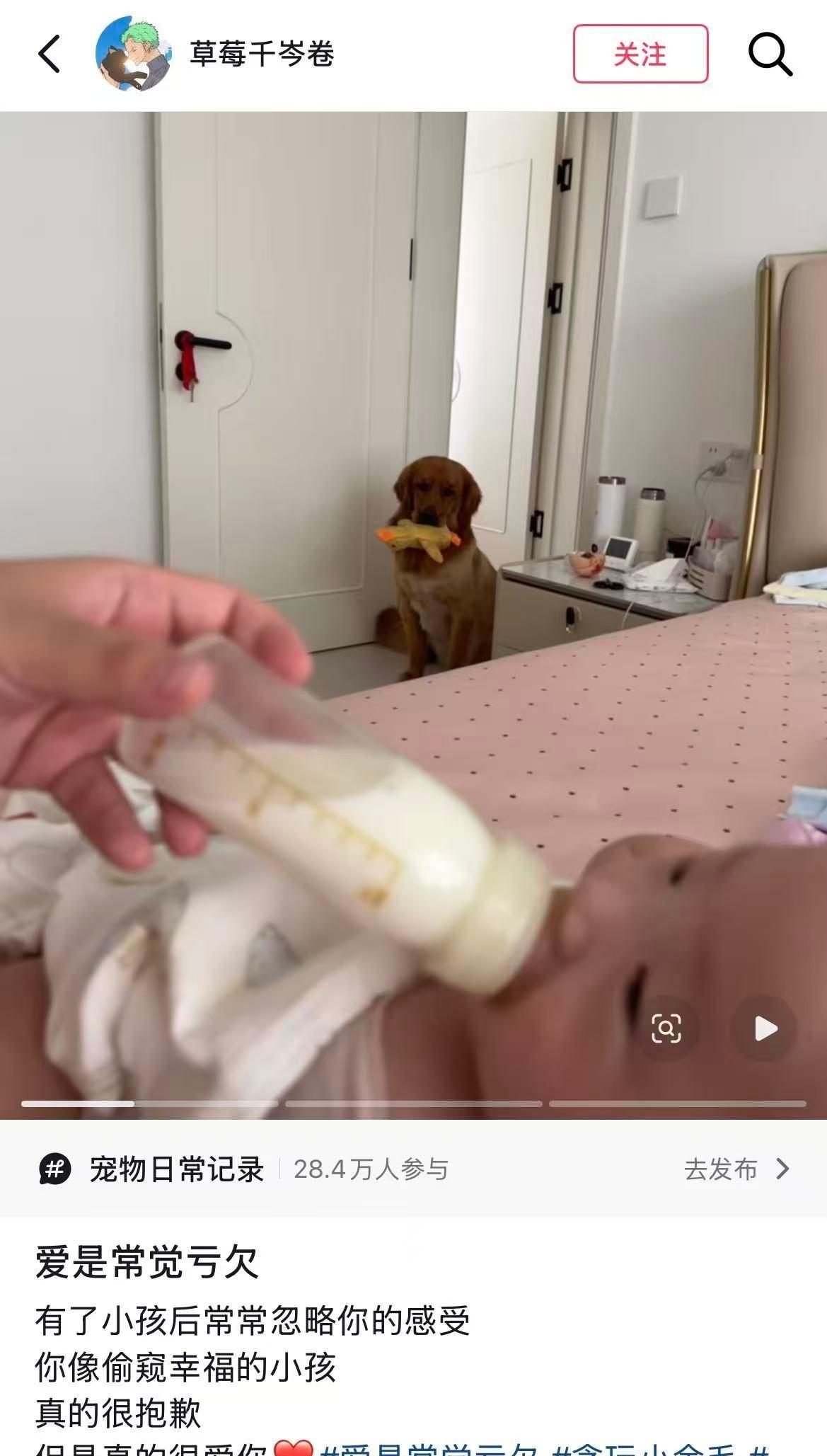 它不能陪你一辈子但能一辈子陪你🥹 ​​​