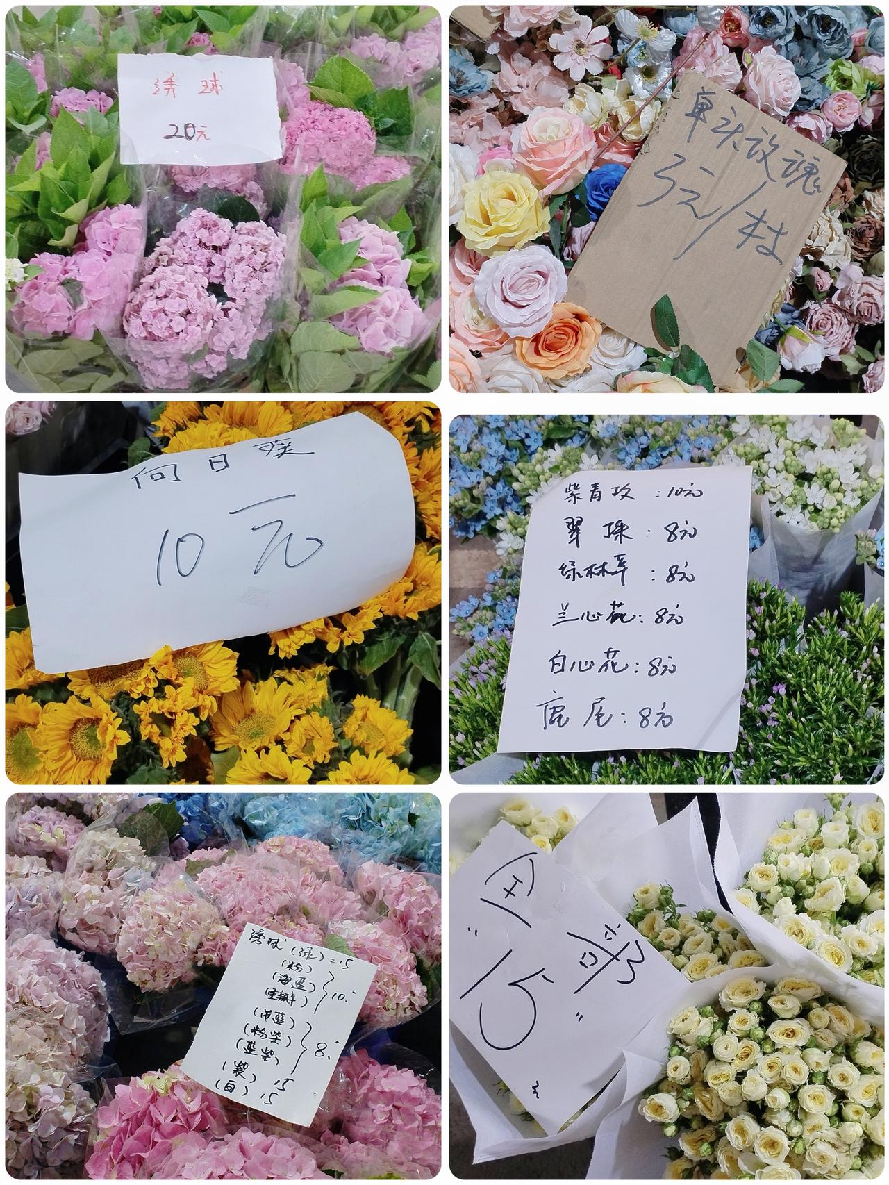 对于热爱生活的成都人而言
三环边公交直达的三圣花市
非常适合带着闺蜜、家人一起逛