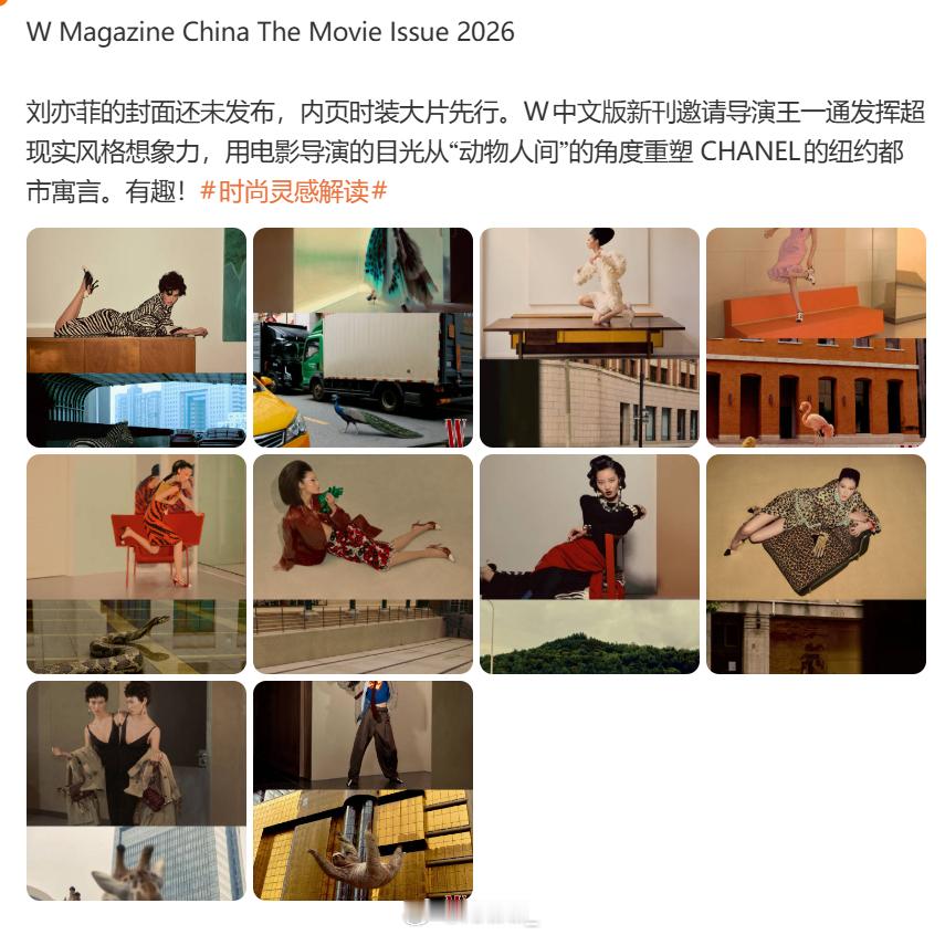 内页全是CHANEL ... 怎么感觉有点像插队。 
