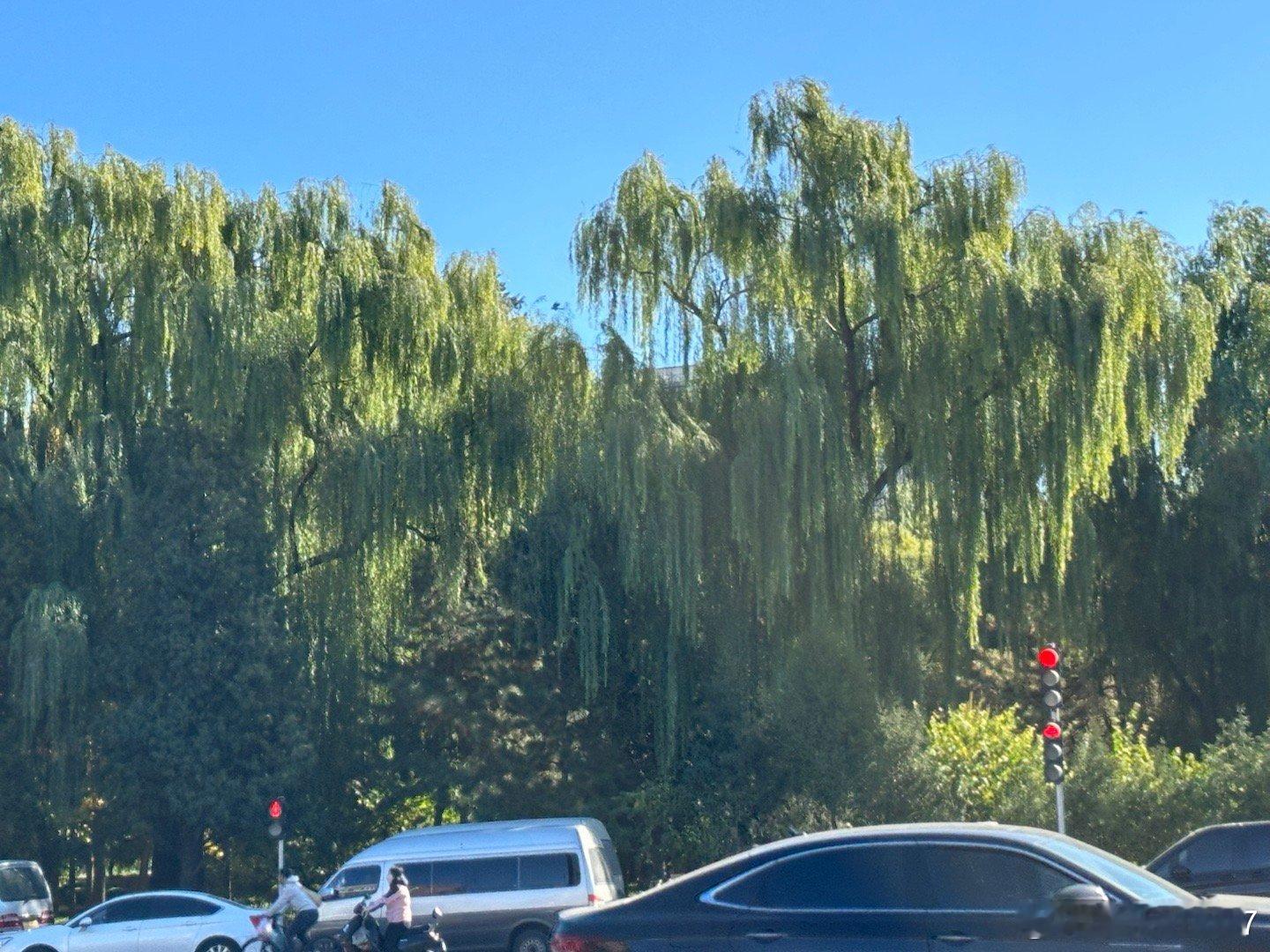 每日‎一善 👏👏👏阳光信用 善良是一种修养，善待他人就是善待自己，要想得到