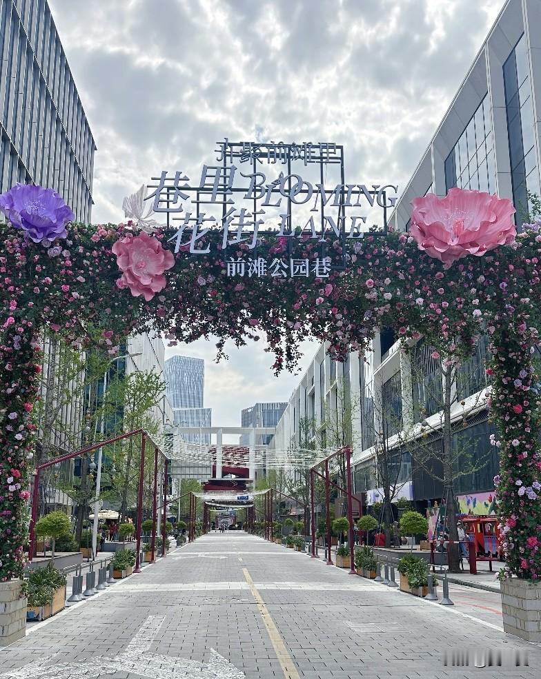 2026年上海国际花卉节
一年一度的前滩国际花展开始啦！今年的花展好可爱，猫咪?
