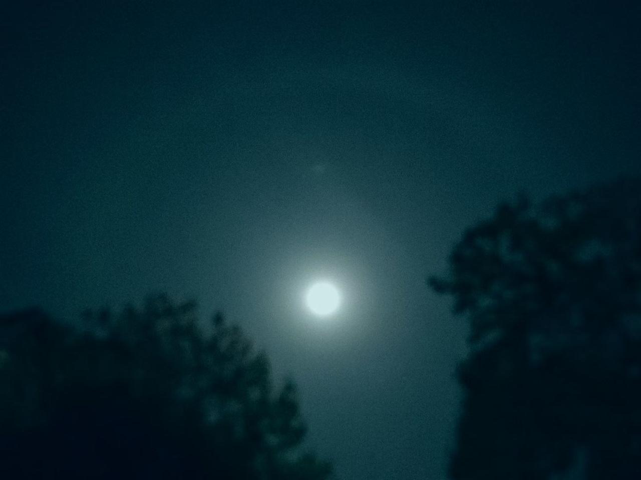 这月亮太明亮了！