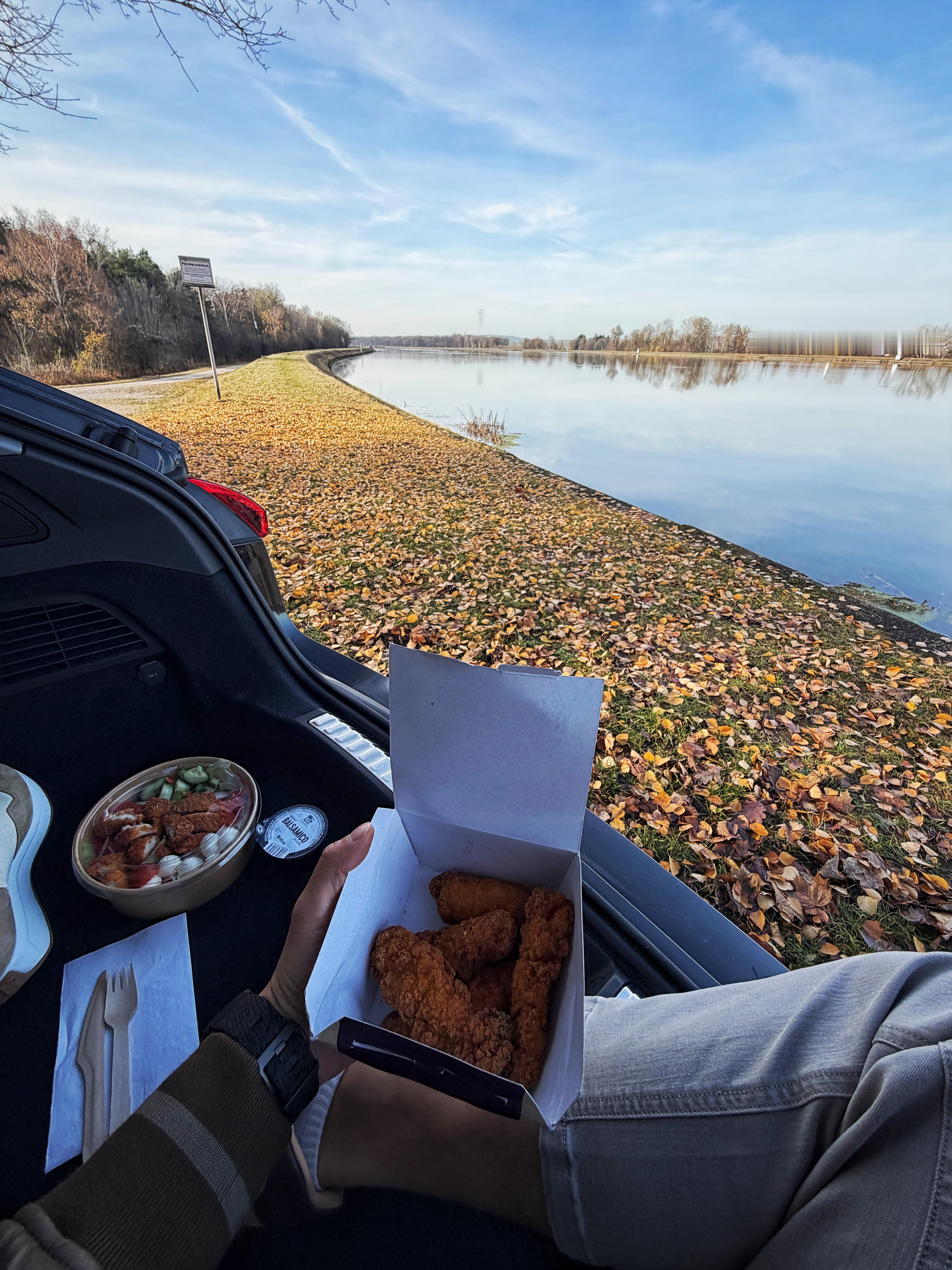 《多瑙河边吃炸鸡》🍗  
