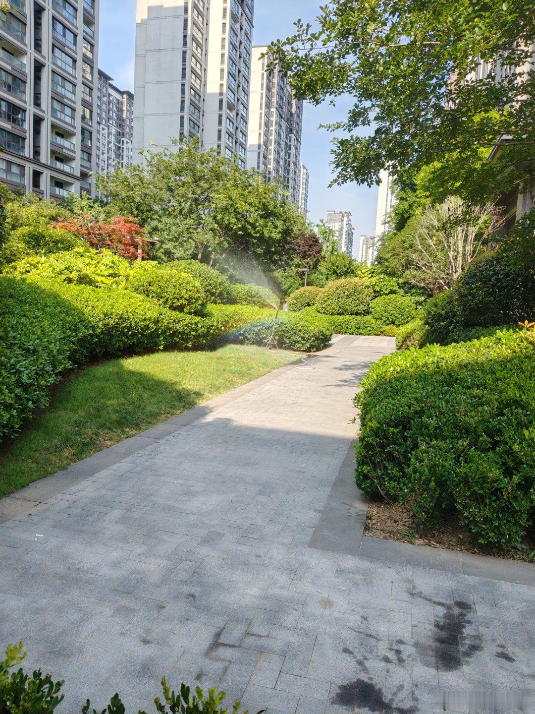 炎热的夏日，也可以在楼下见识到美丽的彩虹哟。 