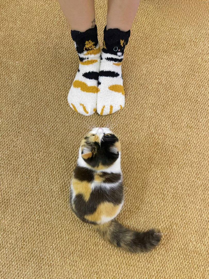 🧦🐈 ​​​