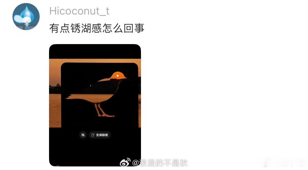 设计师终于等到懂他的人了不必反复赘述设计初衷，无需妥协将就审美，遇见同频的人，每