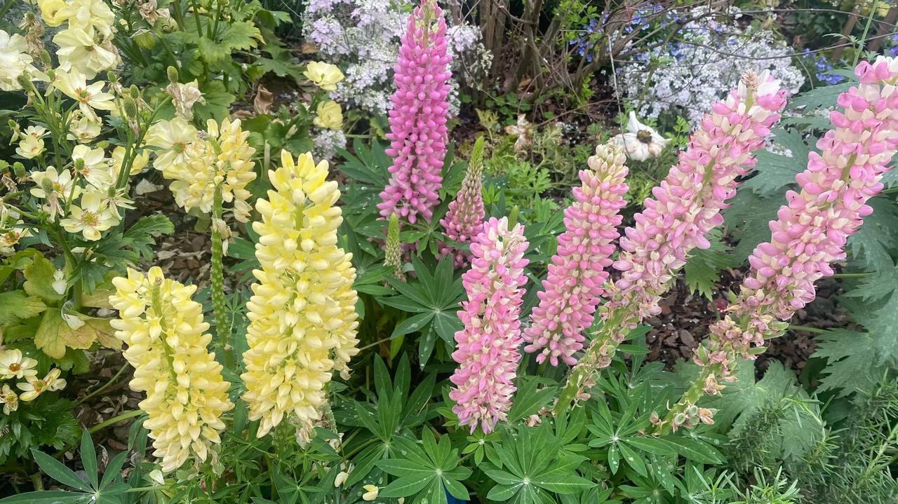 世界上有和好，但没有和好如初
 
咱们常说，破镜重圆、重归于好，好像两个人闹掰了