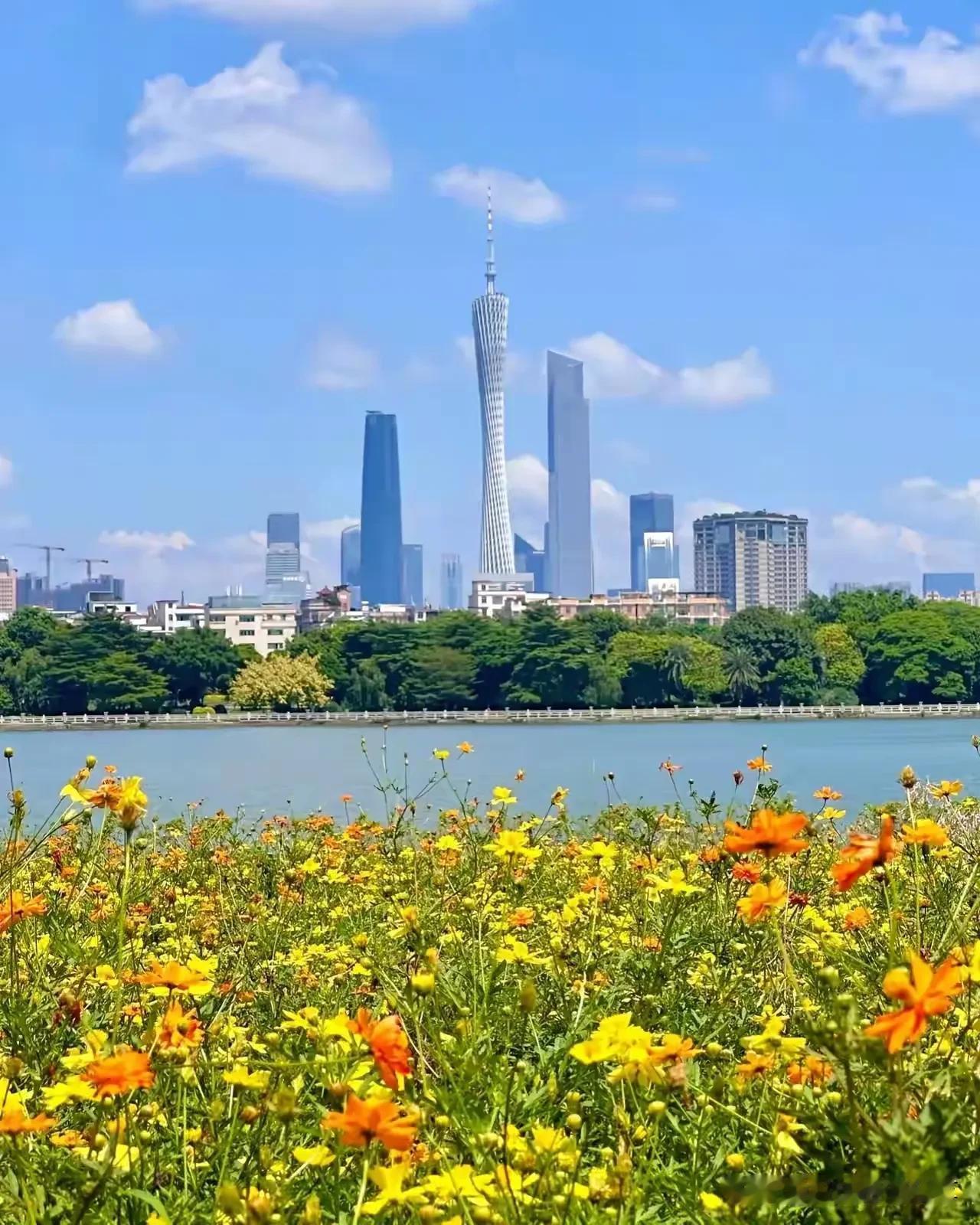 #一句话分享秋日感悟#学习放下那些不必要的负担，拥抱自己的不完美，因为正是这些不