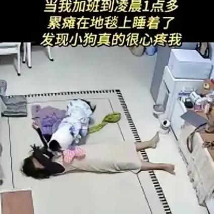 万万没想到！女子凌晨加班睡客厅，监控拍下的一幕，瞬间破防
 
“万万没想到！”广