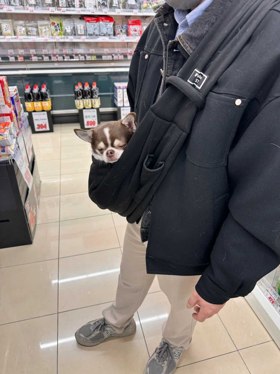 带哈吉米去狗公园｜狗狗也要正常社交