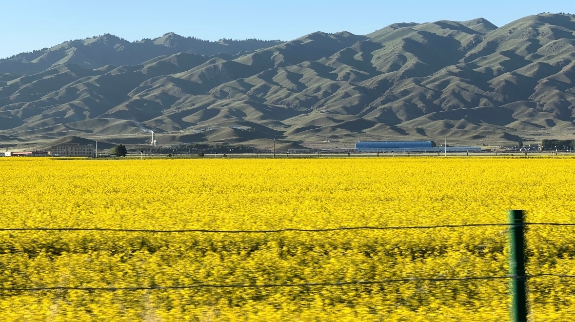 On the way｜在路上 
