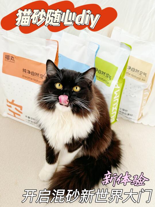 养猫新体验｜猫砂随心配