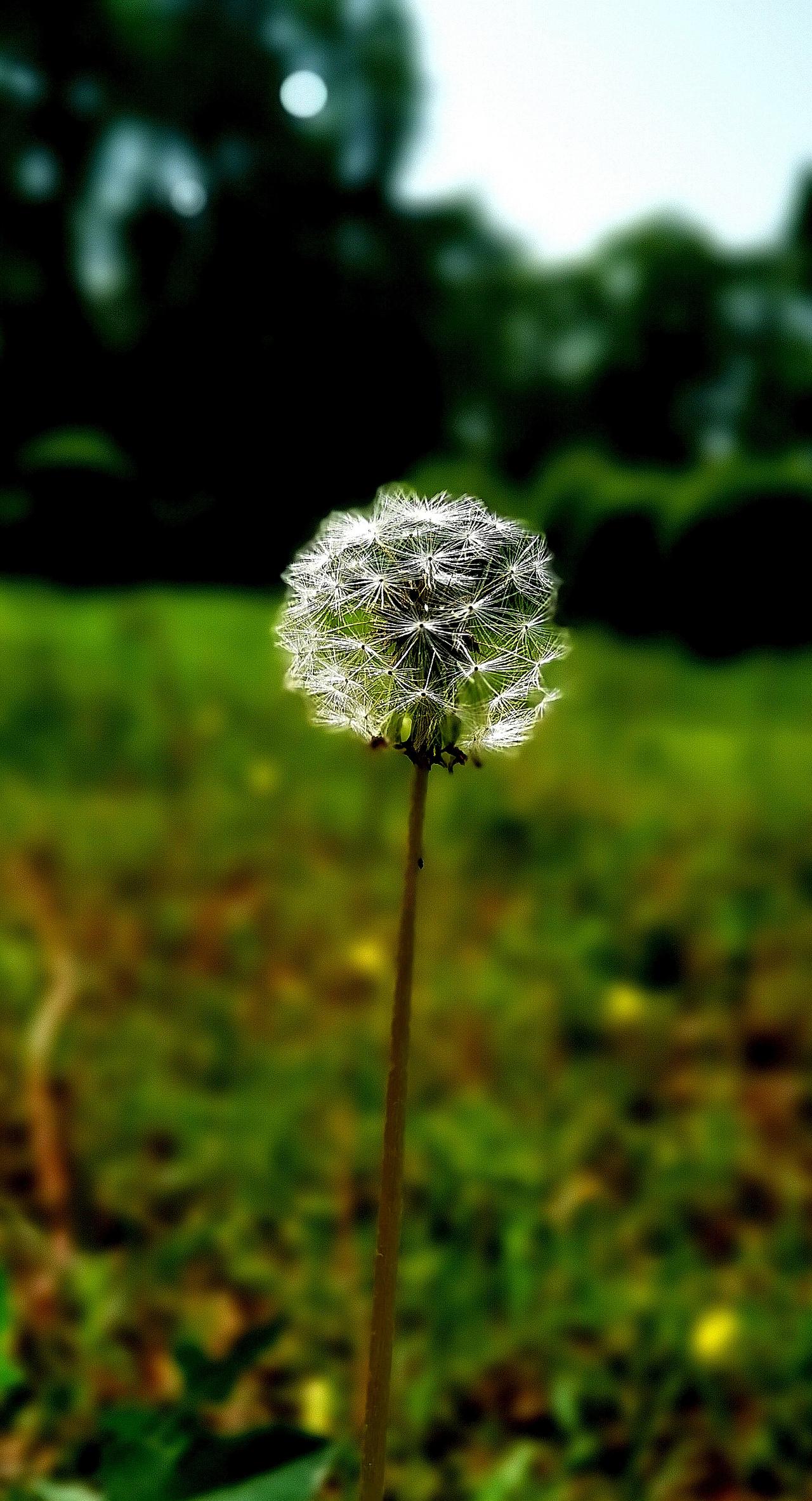 写文章收益少要不要坚持？喜欢写作的自然要坚持，奔着收益去的没必要坚持。因为爱写作