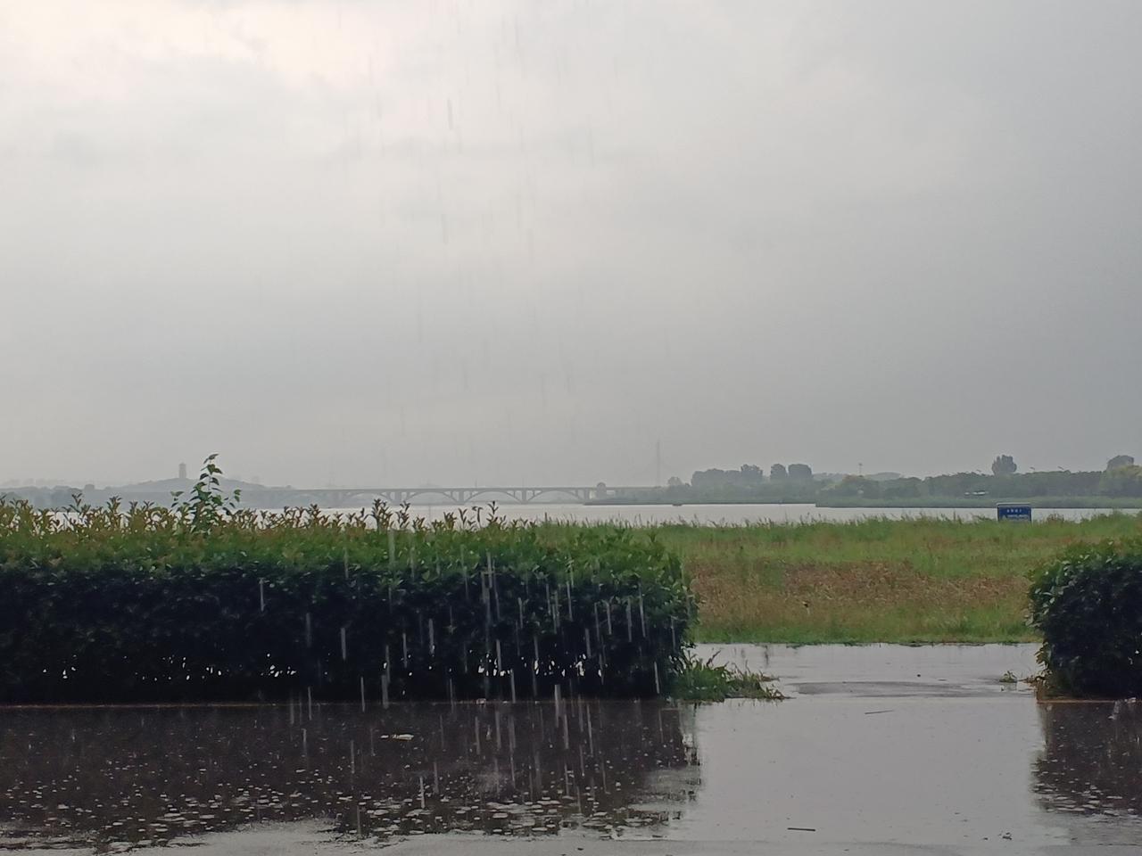 预报今天雷阵雨，到傍晚终于下起来了。
     天气闷热不愿在家开空调，到滹沱河