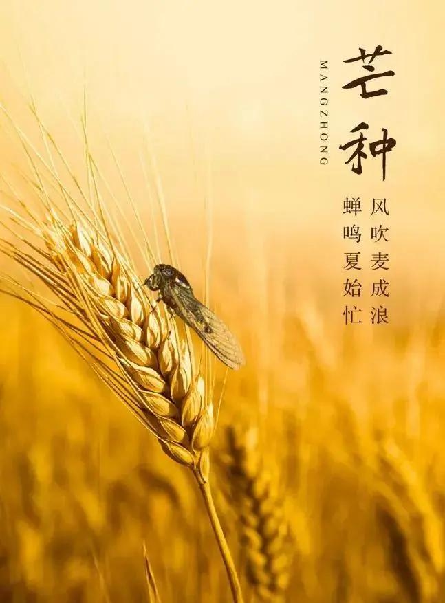 这个六月着实令人惊喜，不仅盼来了两个无需调休的三连休假期，还隐匿着两个夏日关键节