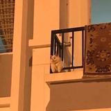 嫩绿绿爱逛科技