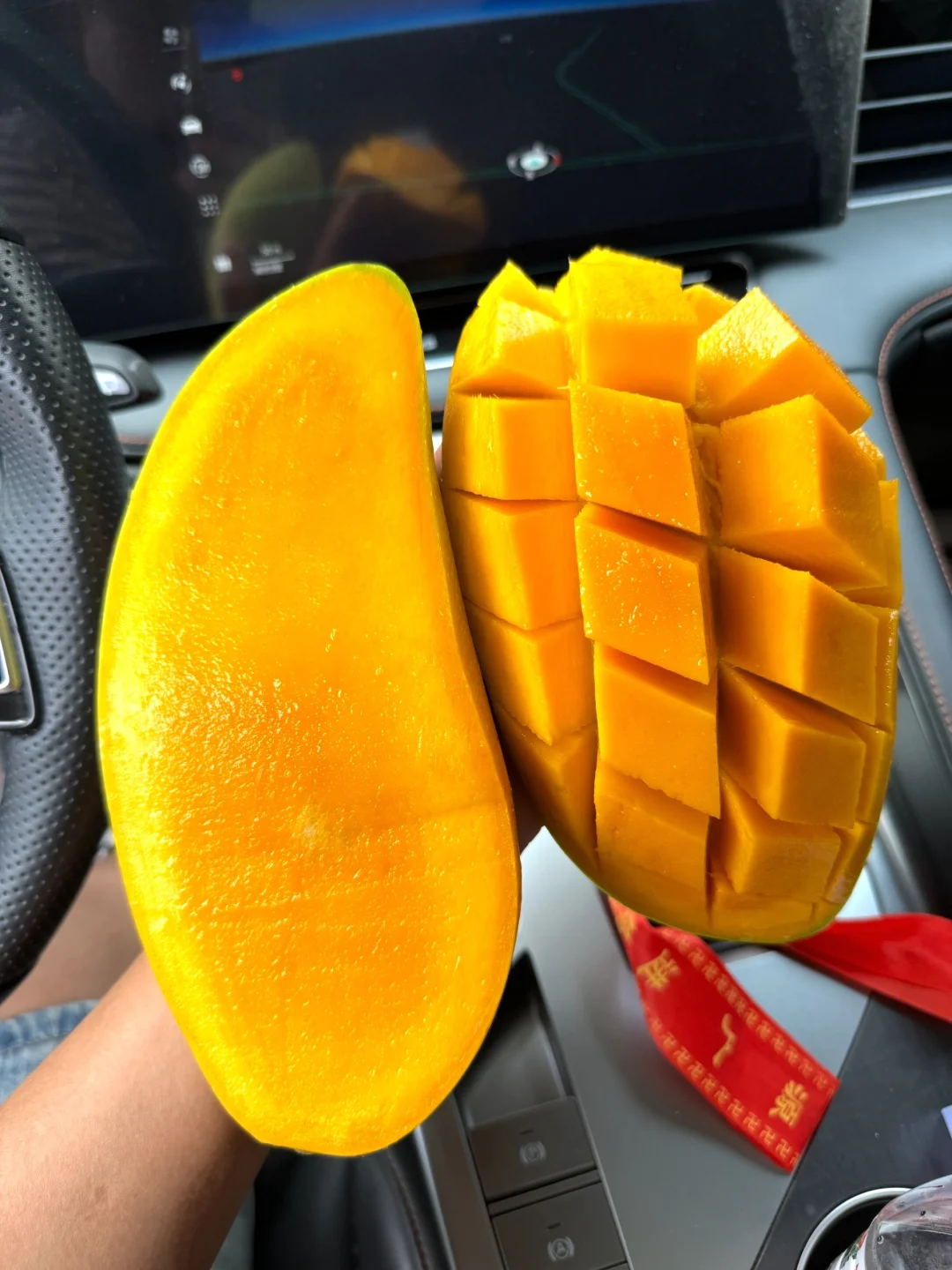 海南树熟金煌芒，不催熟，收到即食！