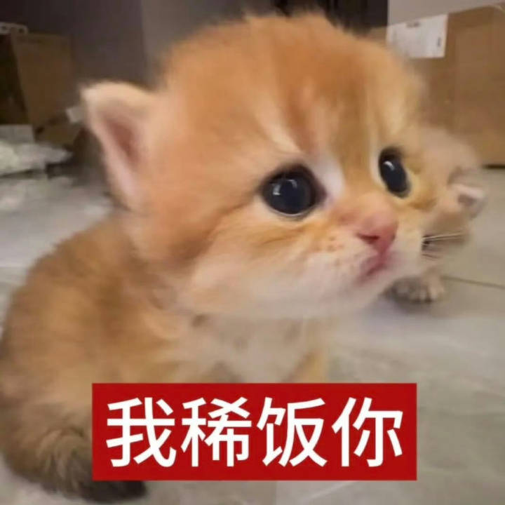 一个因为小时候被🐍缠住脚，从此有了心理阴影，就连看到电视里的特效🐍都会感到不