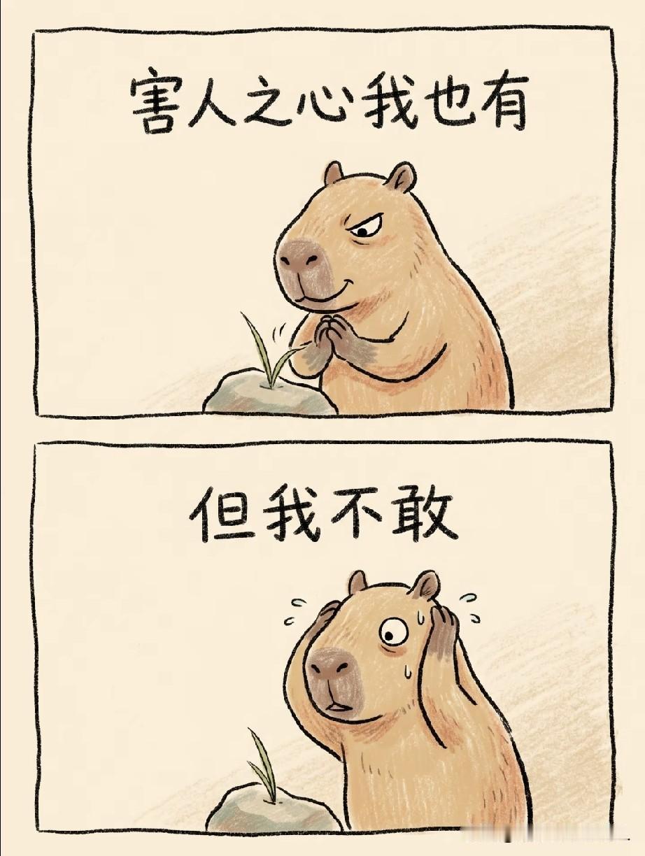 我知道你想干嘛，但我怂。