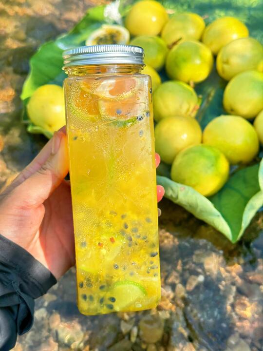 被追问N次的野餐王牌！自制百香果柠檬茶！