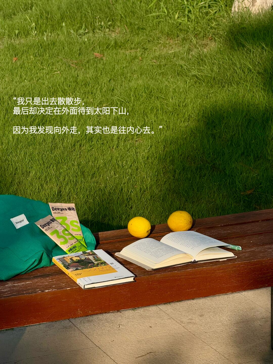 “我只是出去散散步，最后却待到太阳落山”