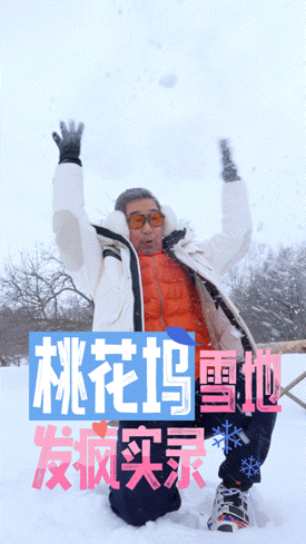 #桃花坞4录制雪地发疯实录##桃花坞4的雪有多好玩#看雪里快乐撒欢的坞民就知道了