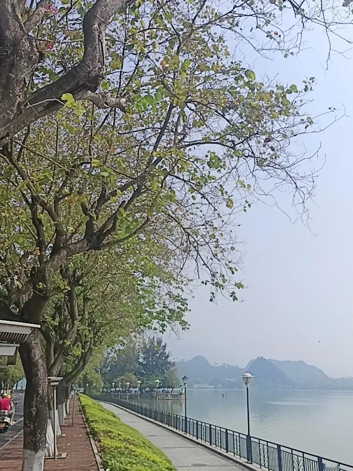 你敢相信吗？这里就是肇庆的星湖
这里环境优美，空气清新