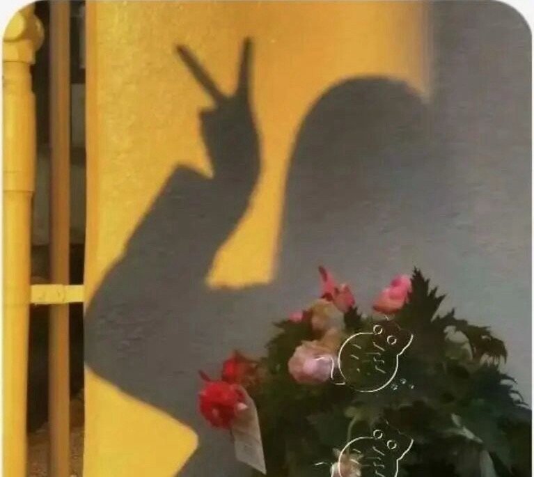 不要因为别人一句话，而丢掉一整天的快乐。接受自己的普通，并拼尽全力去与众不同，生