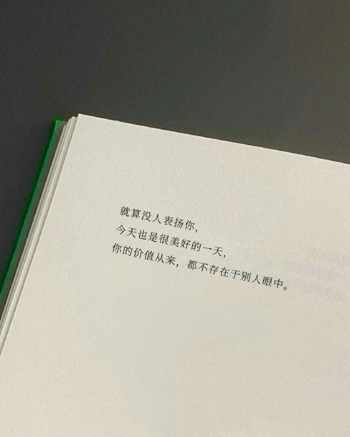 “ 你的价值从来，都不存在于别人眼中。” 