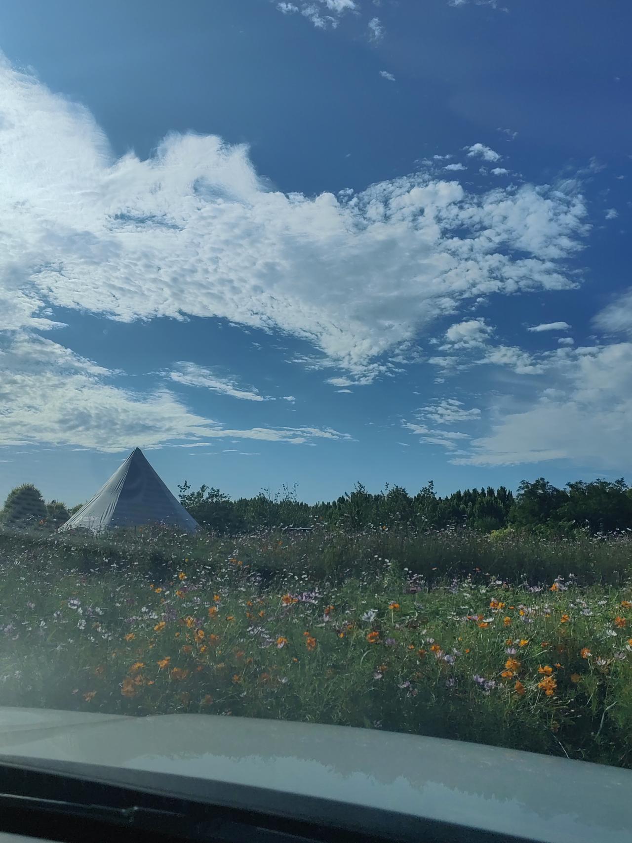 老公越来越觉得电车划算！一家出游来回一百多公里，电费才花了七八块钱。

吃完午饭