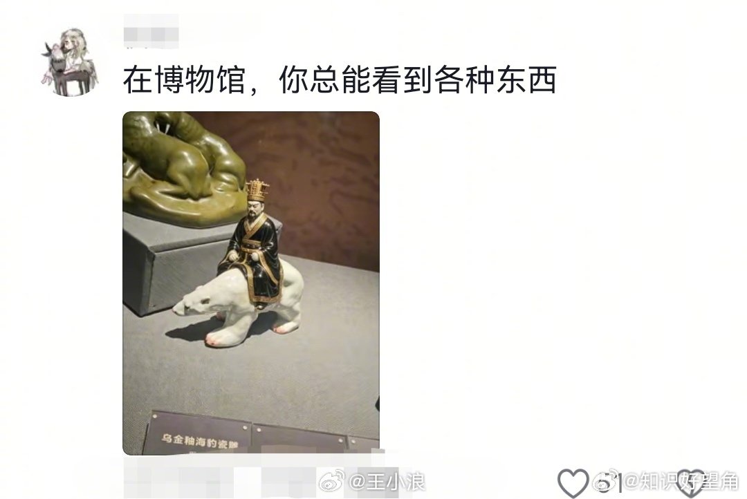 本以为博物馆里都是些普通的恐龙 （