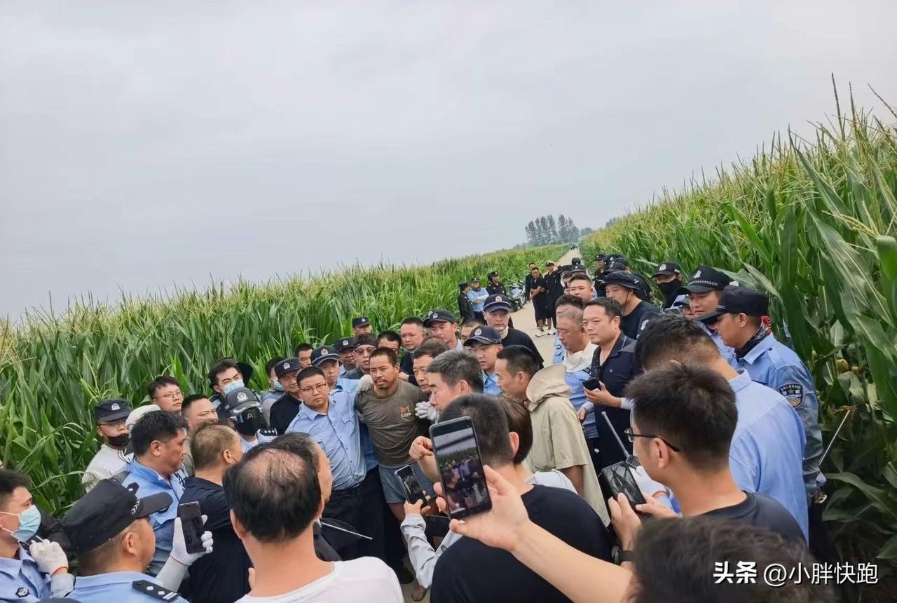 这回是真的了，在漯河抓到了。。
也是个可怜人！当时应该自首，过失杀人，或许从宽。