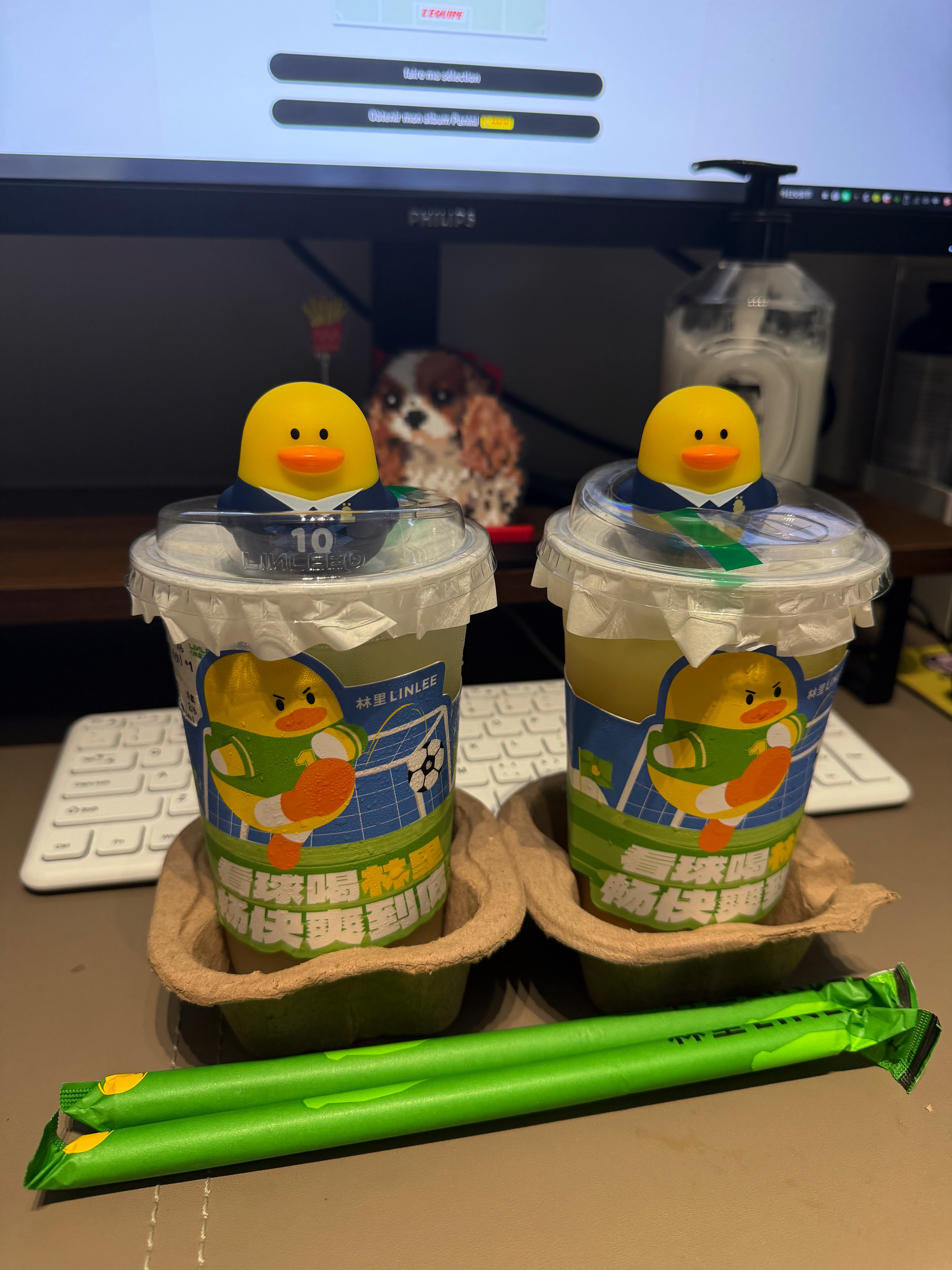 高卢雄鸭 