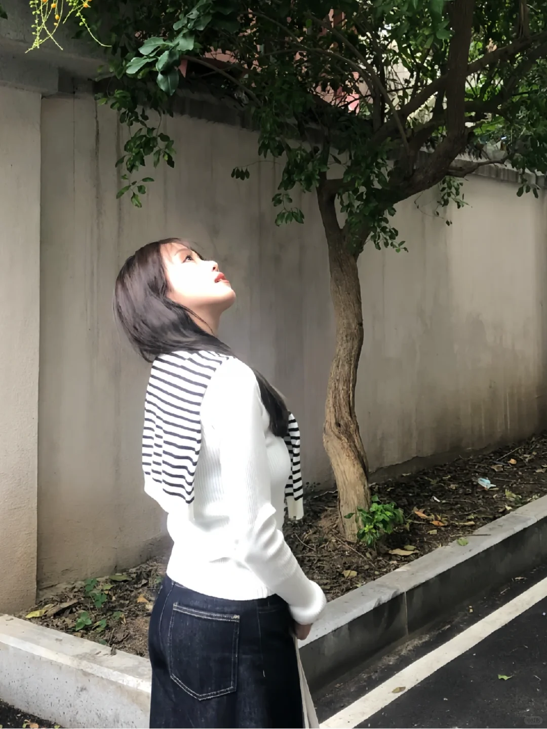 白月光