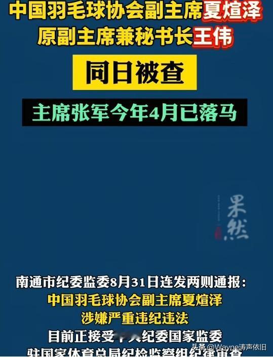 中国羽毛球协会这下是动真格的了！短短四个月内挑落了三位大领导！敢把刀刃向内，把羽