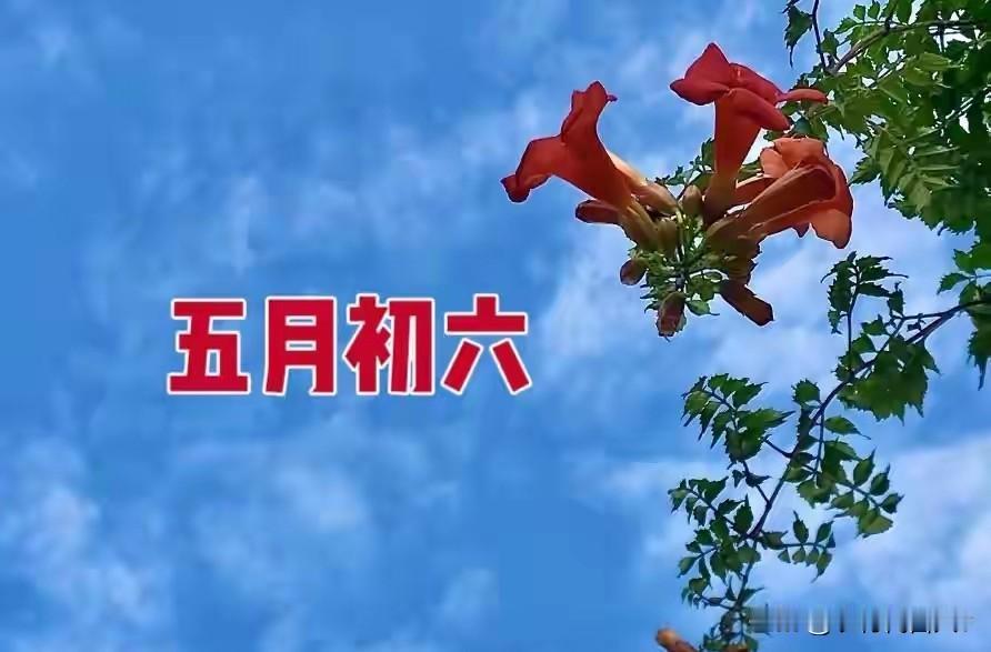 明日五月初六，讲究：1要走，2要丢，3不做，吃4样，寓意平安顺吉
 
端午的热闹