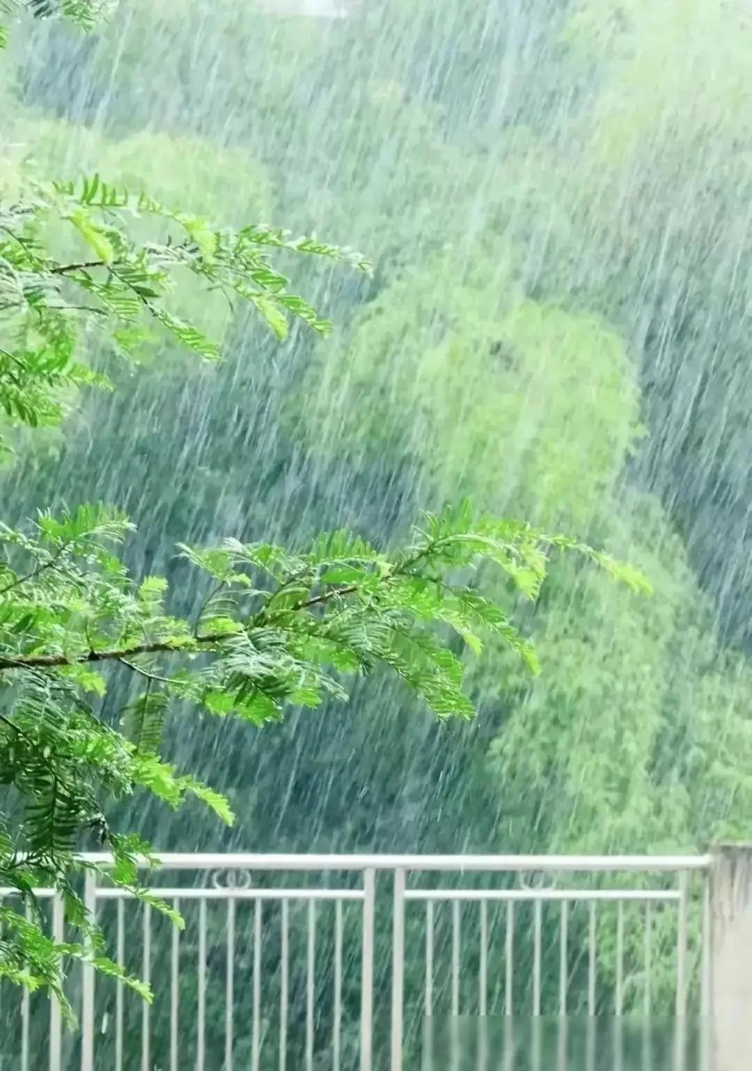 浣溪沙 · 阵雨

霹雳声声炸响雷，
金光道道射云围，
风掀菡萏戏涟漪。

阵雨