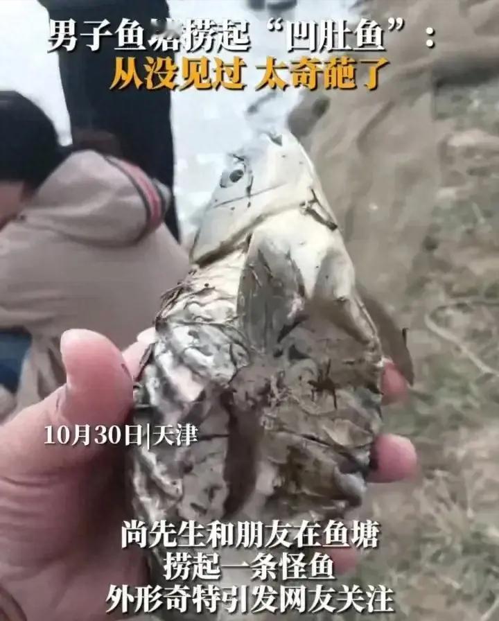 世界之大，无奇不有！10月30日，天津有一位男子在社交平台分享了一件“奇”事，他
