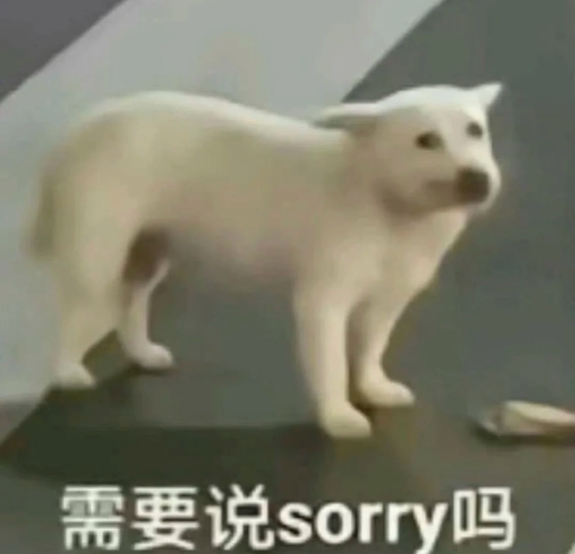 一个置顶视频来源网络 如有侵/权 可联系立马删除 致歉🈚粉籍 发的rs并不代表