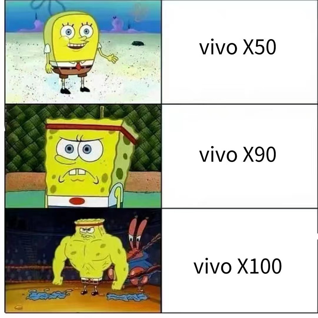 作为vivo的重磅旗舰，vivo X100系列的亮点还是不少的，性能方面首发天玑