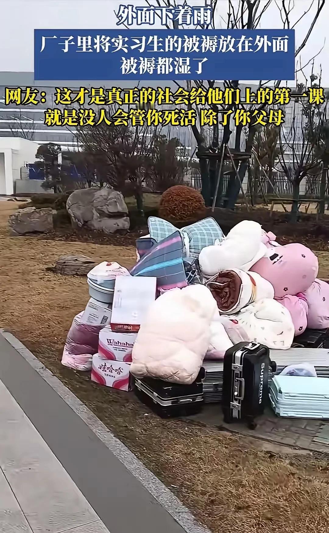 1月20日，安徽芜湖。
天某电子厂。一群实习生来到工厂报到。他们把行李箱和被褥堆