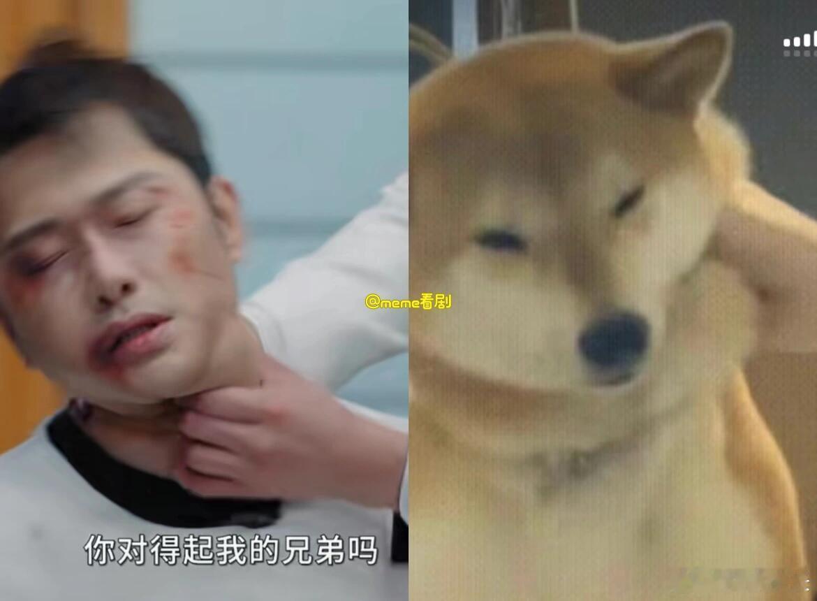 笑死在朱梓骁评论区里 ​​​