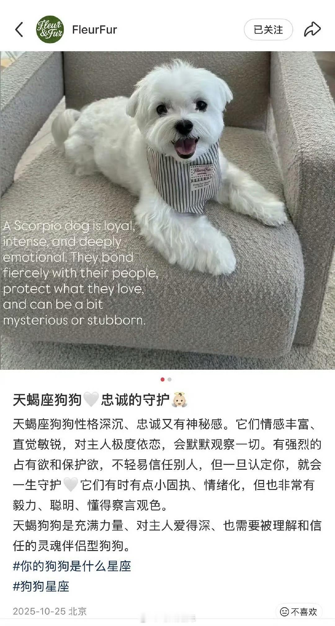 綦美合潮牌 网友扒出了疑似綦美合的潮牌账号，綦美合弟弟还关注了这个潮牌的ins，