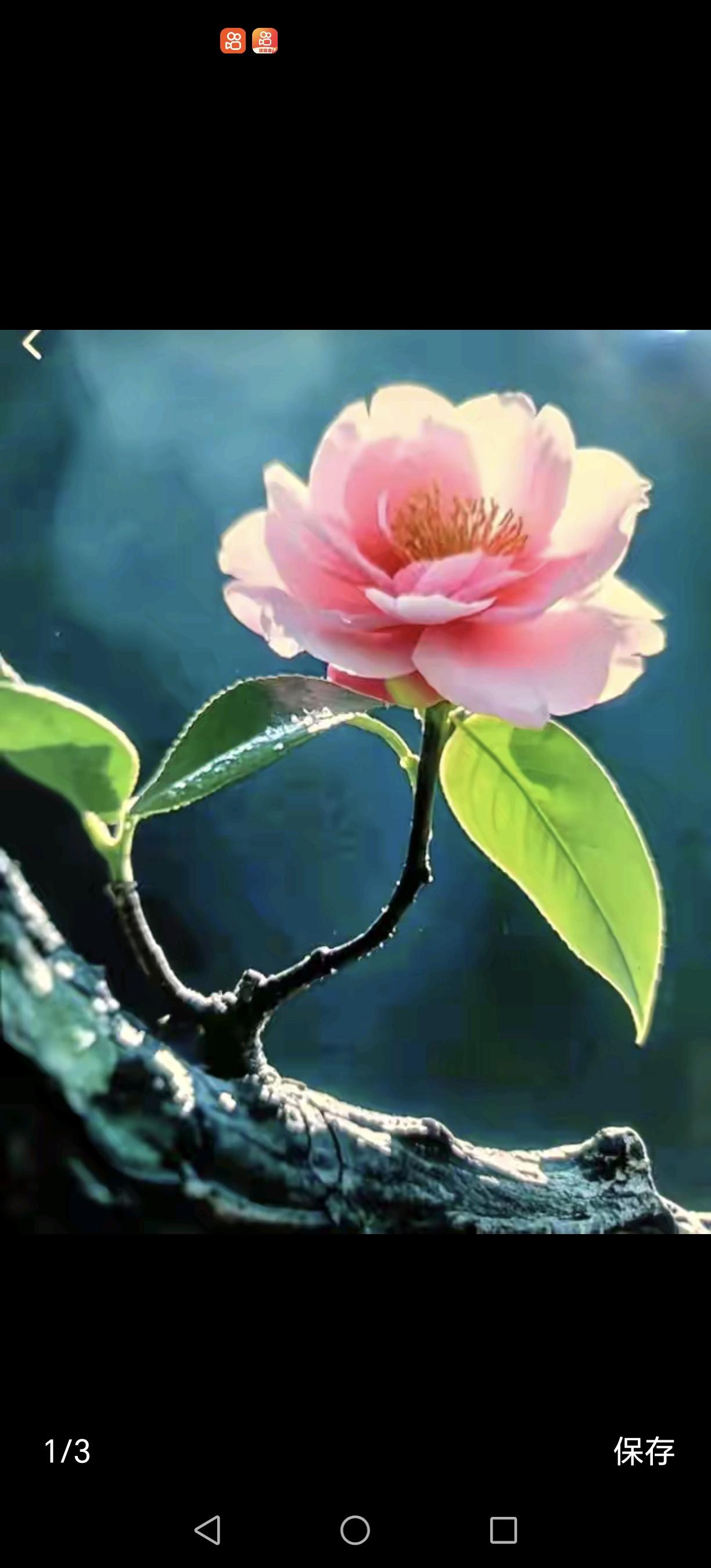 《沉默的崩溃：那些藏在朋友圈里的无声哭泣》

“你知道吗？其实很多成年人都在默默