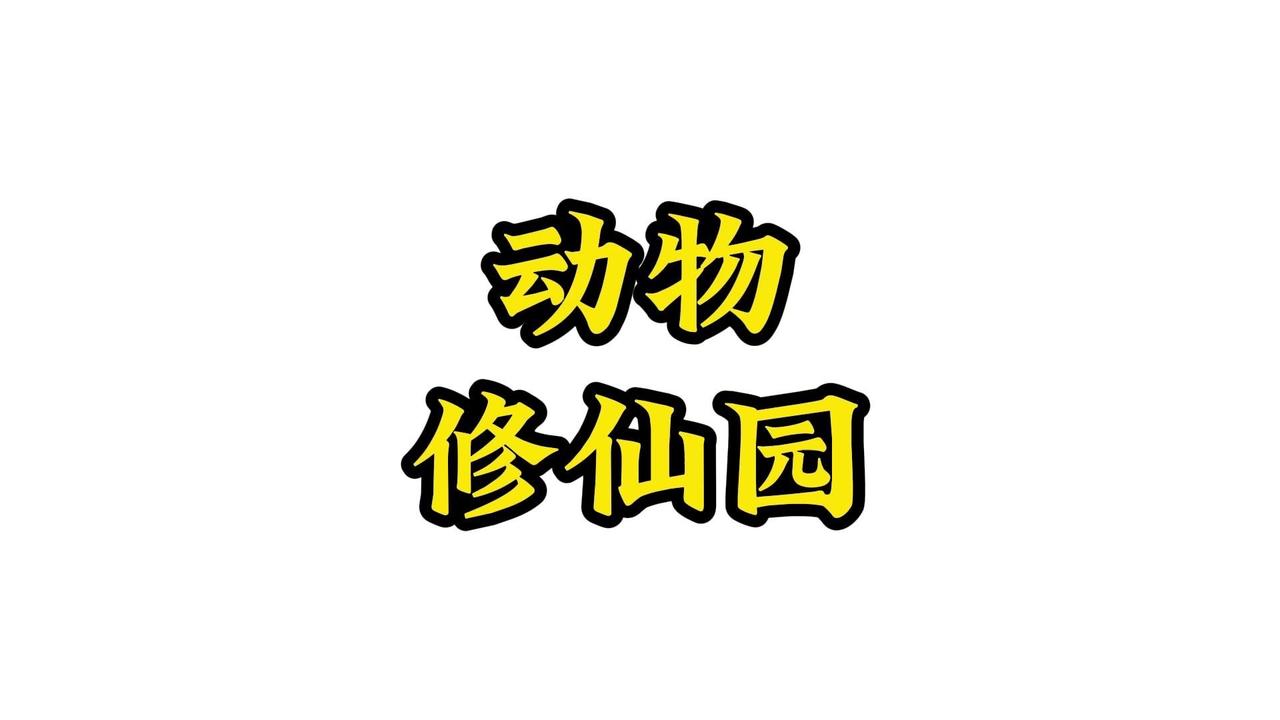 1️⃣熊猫：吐舌头、打坐、蹦迪、鬼祟吃苹果
2️⃣狮子：狗里狗气，四脚朝天躺尸睡