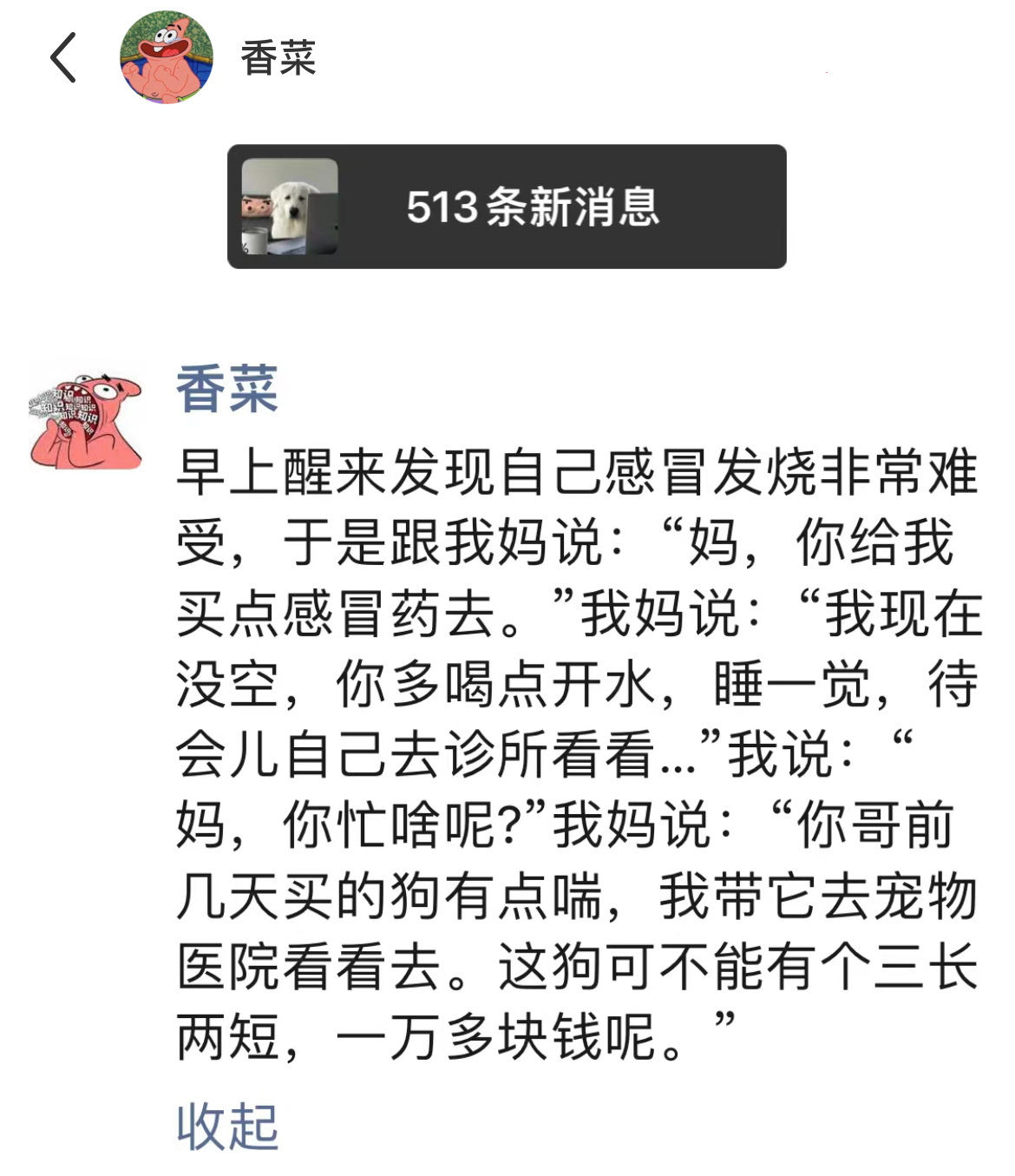网友：你是不是亲生的不知道，反正狗是家里的宝贝没错了！ ​​​