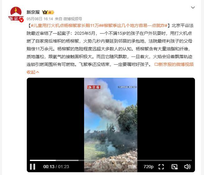 儿童用打火机点杨柳絮家长赔11万 一个打火机，一堆杨柳絮，11万块没了。14岁的