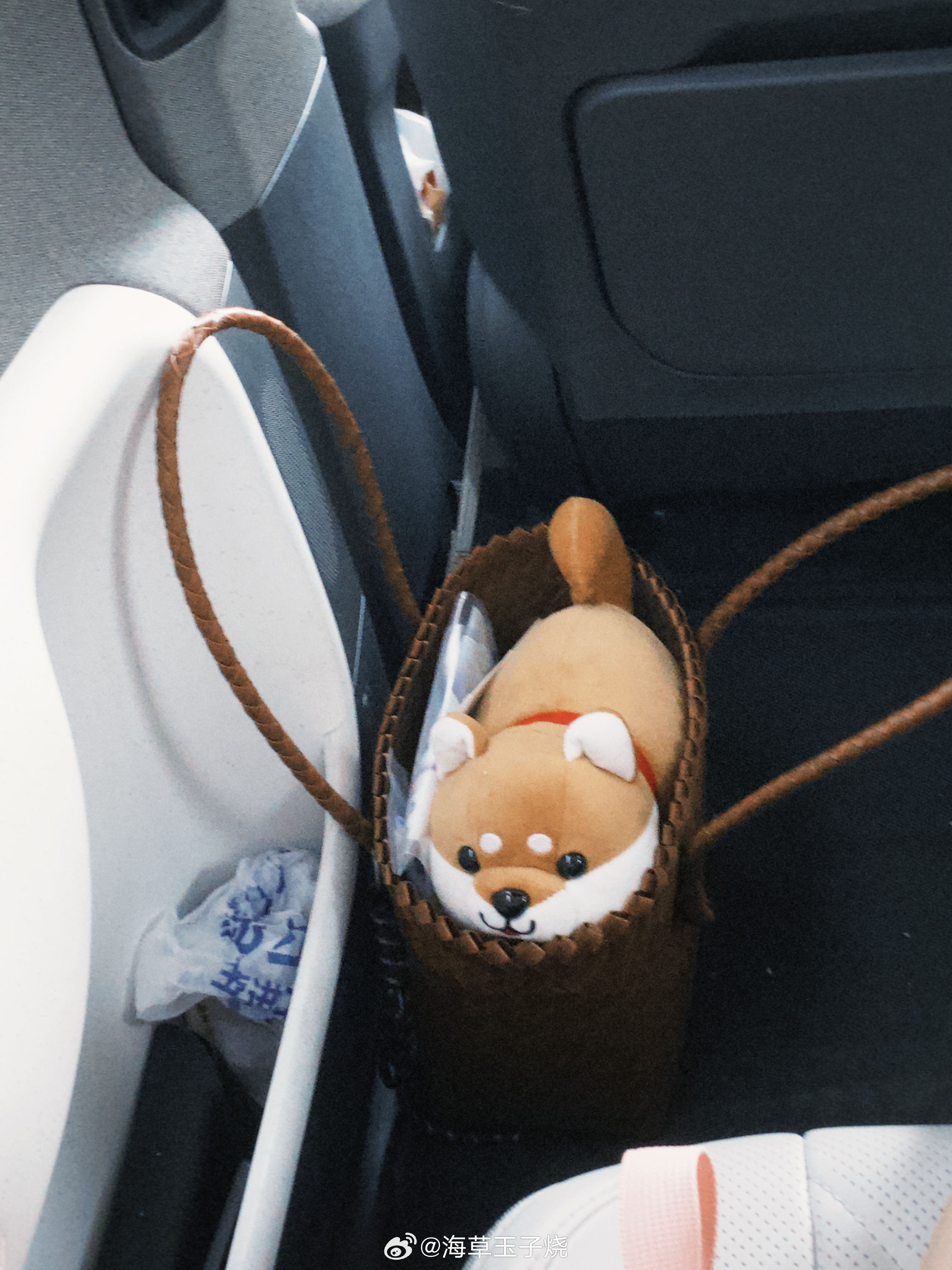 在这九月底 ​​​