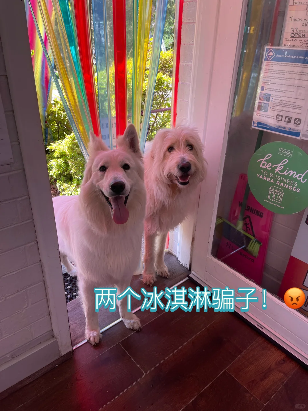 店主您好 我们来骗取两份冰淇淋